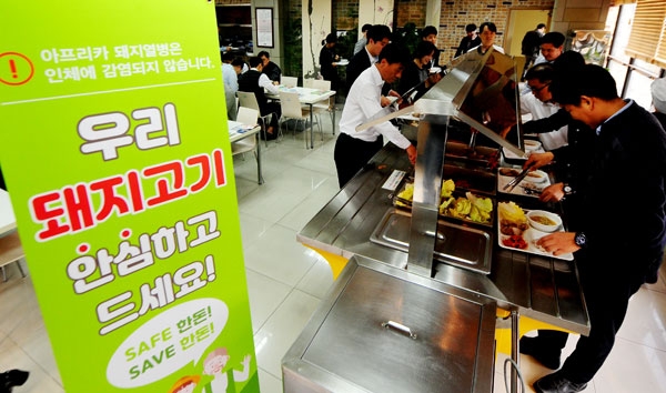돼지고기 안심하시고 마음껏 드세요