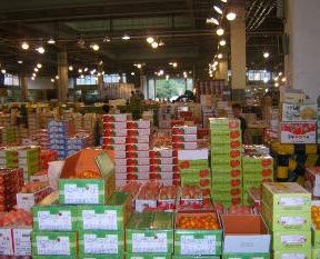 원주농산물도매시장, 600억원 돌파