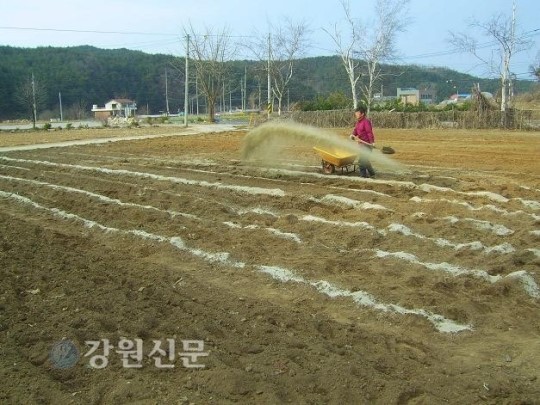동해시농업기술센터, 지역특화작목 육성