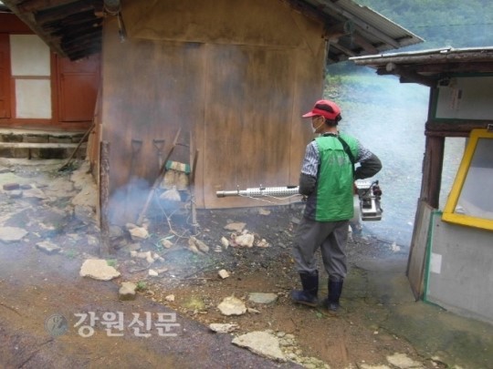 정선국유림, 장마철 오지마을 방역활동 펼쳐