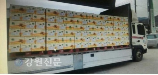 울퉁불퉁 강원도 감자! 현대家로 시집가다