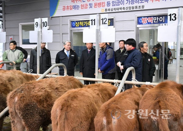 김양호 삼척시장, 삼척가축시장 격려 방문