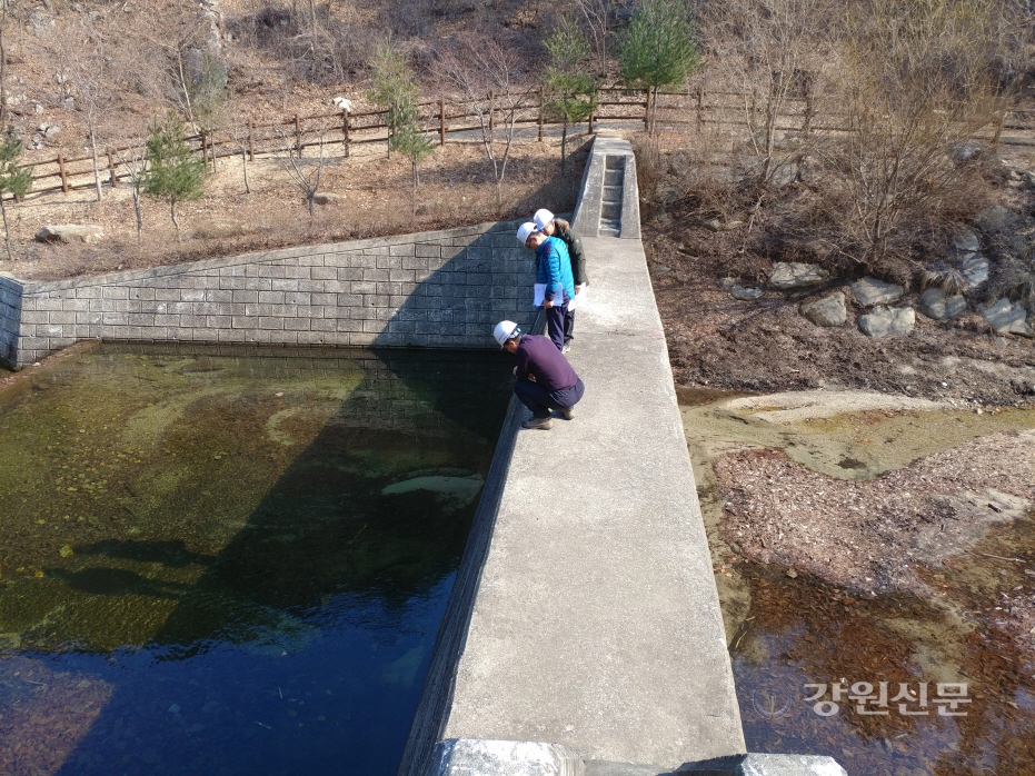 동부지방산림청, 사방시설 유지관리 및 적기시공으로 안심국토 실현