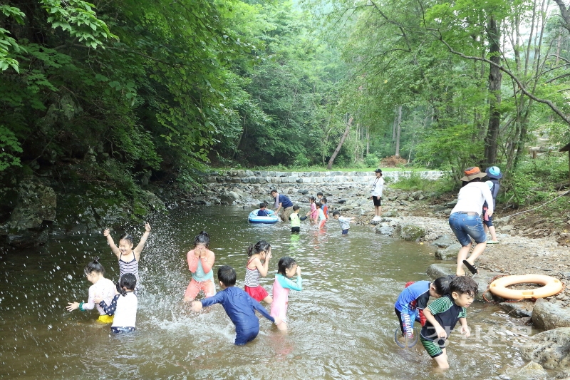 인제갯골일원, 산림복지지구 지정 확정