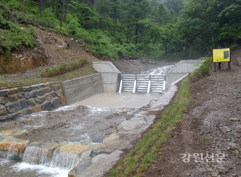 영월국유림, 산림토목사업 추진...산림재해예방 총력