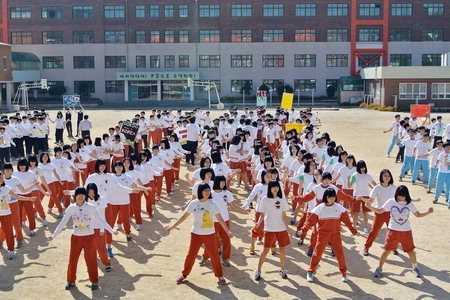 독도캐릭터 티셔츠 그리기·플래시몹·OX퀴즈·우표 만들기…