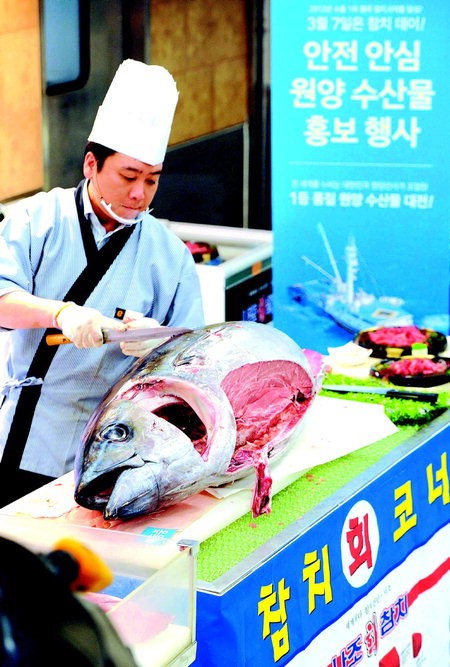 오늘은 참치데이, 싱싱한 참치 맛보세요