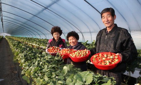 밀양·합천 딸기 동남아도 반했어요