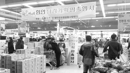 함안군·농협군지부·군조합공동사업법인 ‘단감 판촉’ 행사