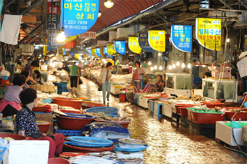 마산어시장서 상습절도 40대 구속