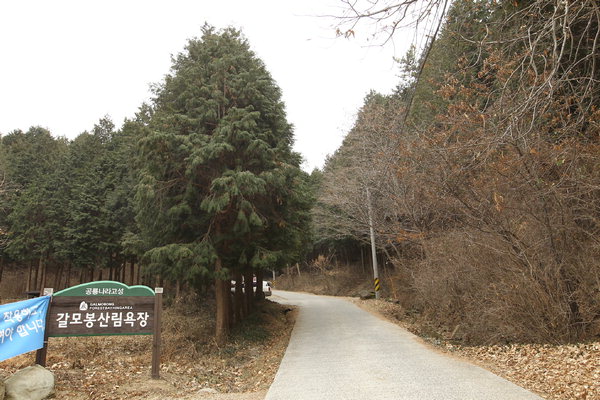 고성 갈모봉에 대규모 자연휴양림 만든다