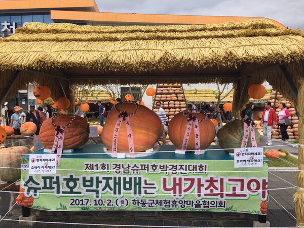 올가을 하동서 ‘전국 슈퍼호박 챔피언’ 가린다