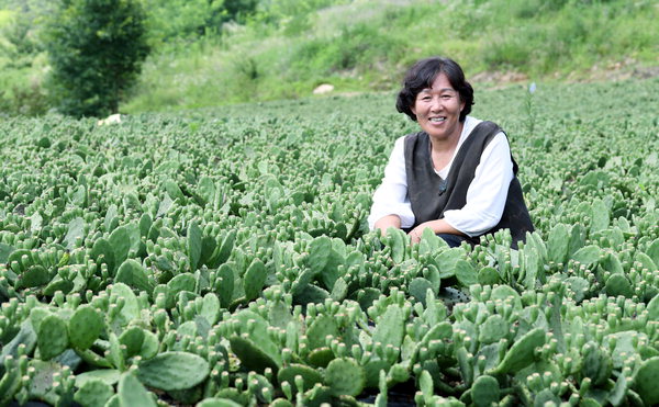 단감으로 ‘귀농 쓴맛’ 봤으니, 천년초로 ‘농사 단맛’ 봐야죠