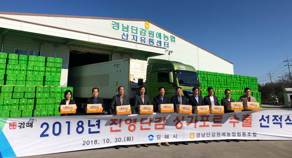 진영단감 20t, 싱가포르 수출