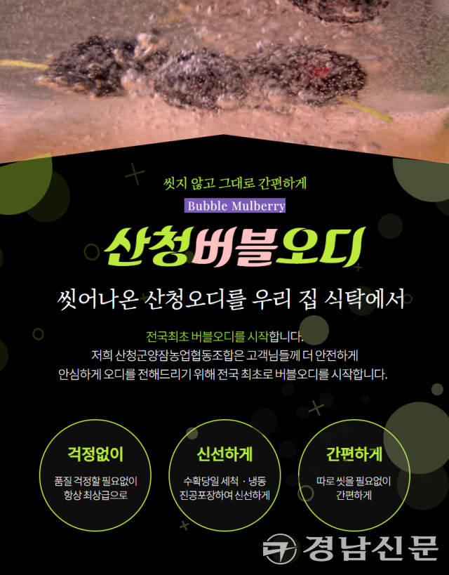 산청군양잠농협 씻어나온 버블 오디 제품 출시