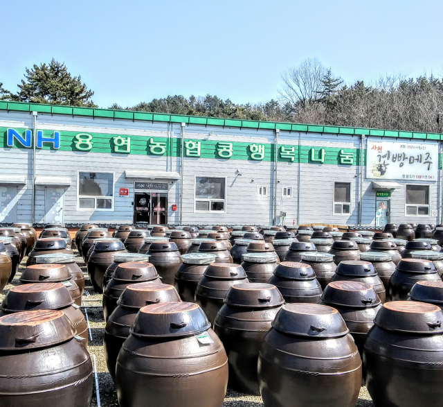 ‘미래 농업’ 이끄는 조합을 찾아서 (2) 사천 용현농협