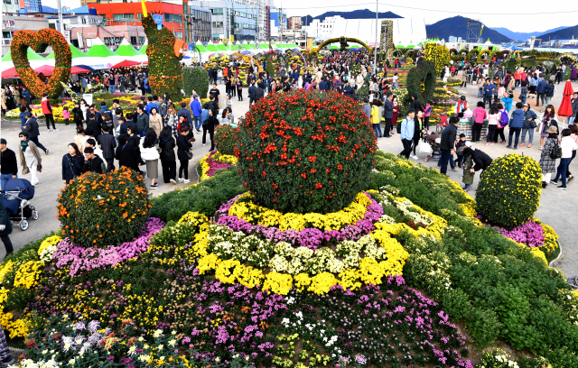 “마산국화축제 차량 관람 방식도 안심 못해”