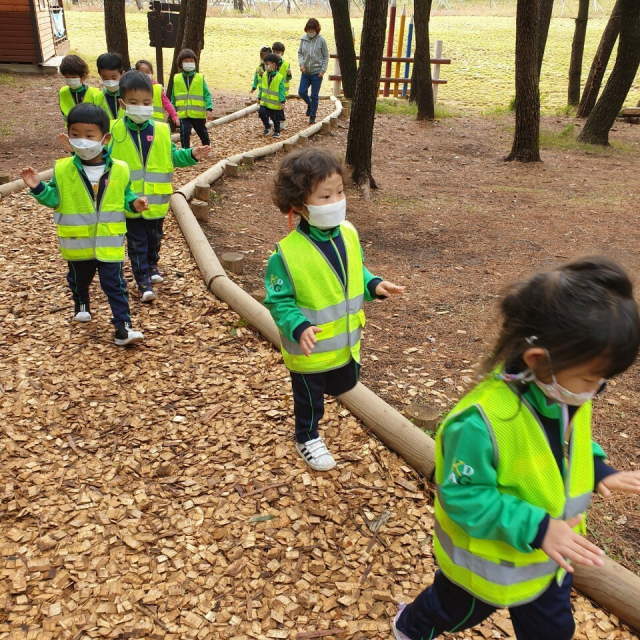 함양국유림관리소, 지리산·미륵산·계룡산 숲 체험 시작