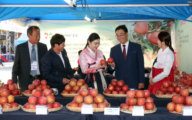 내달 5~6일 밀양 ‘얼음골 사과축제’