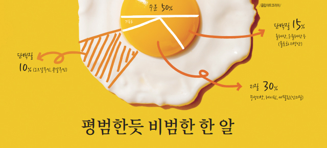 [달걀 안전하고 맛있게 즐기기] 평범한듯 비범한 한 알