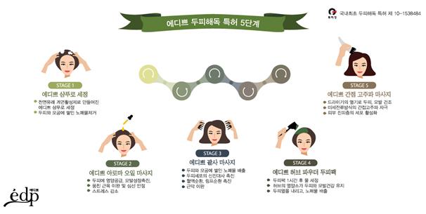 특허 받은 두피해독 프로그램 에디쁘, 탈모 예방 및 개선, 관리에 효과