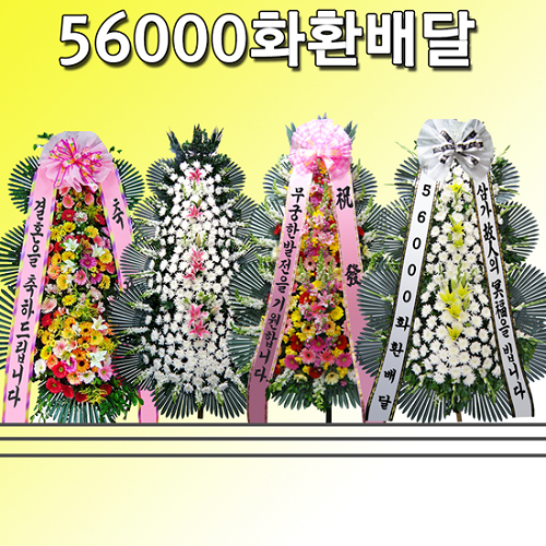 56000화환배달, 6월 맞이 할인 이벤트 진행