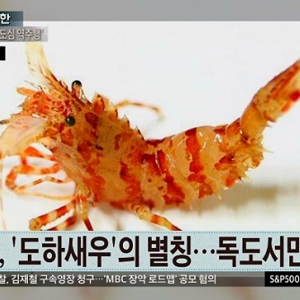 핫이슈 탁현민, 트럼프 대통령 방한 행사…독도 새우 야생화 아이디어 발안자? 사연의 내막은