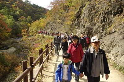 [慶北의 재발견. 22] 외씨버선길 ‘만추의 청송 3개구간’ (上·첫째 둘째길)