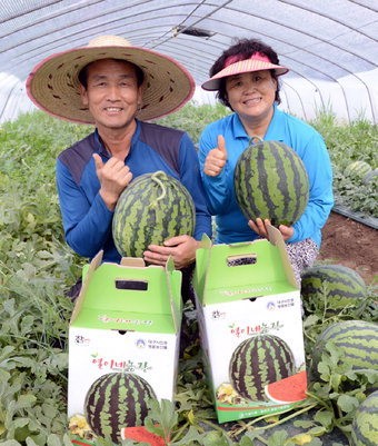 “옥포 명품 농산물 ‘열이네 수박’으로 더위 물리치세요”