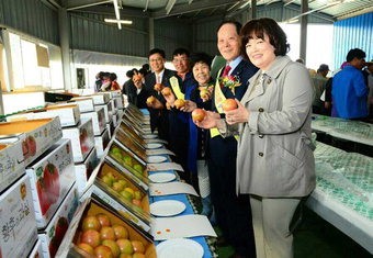 대구 옥포농협 옥포토마토 공동출하 촉진대회