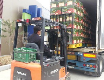 고품질 예천사과 해외시장서 맛본다