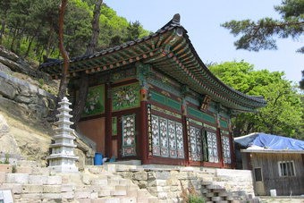 黃菊 천지·돌탑 360여기 ‘법당 가는 길, 樂’…남다른 예언력 주지 스님 작품
