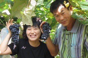 [대한민국 농업 중심지 상주] 미래를 여는 상주농업 (1)
