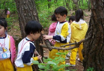 “수성대가 대구의 ‘숲 유치원’을 키웠습니다”…앞산 고산골 등 숲터 32곳 개발