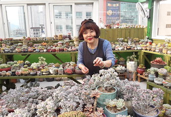 1500개 다육 화분이 반기는 카페…전국 각지서 마니아 발길 이어져