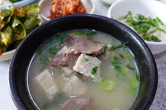 [박진환의 별난집 별난맛] 대구 향촌동 맛집