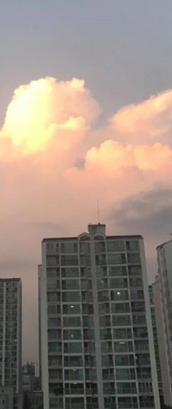 피곤한 현대인 저자극 콘텐츠에 끌리다