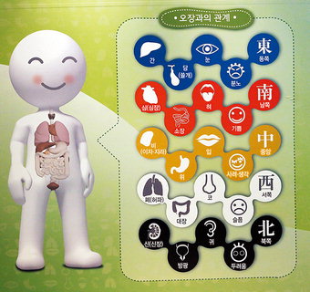 [한의학연구원과 함께하는 한의학 이야기] 오장육부