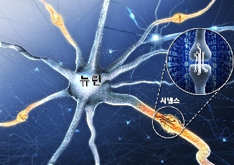DGIST 이명재 실장 연구팀, 뉴런과 시냅스 기능 모사한 고신뢰성 인공 시냅스 전자소자 개발