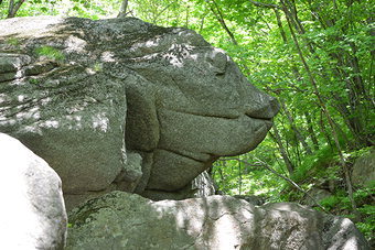 [최원식의 산] 소백산 (小白山 1천439m) 경북 영주시, 충북 단양군