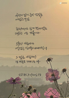 시를 노래하는 달빛 시화전..15일부터 11월 4일까지 대구 월광수변공원