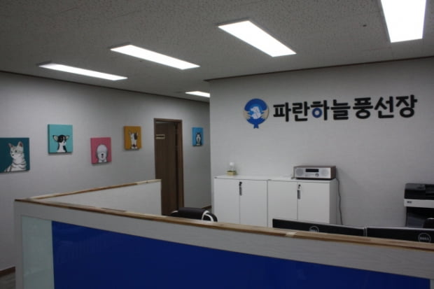 ‘풍선 타고 하늘나라로?’...이색 반려견 장례 업체 ‘파란하늘 풍선장’