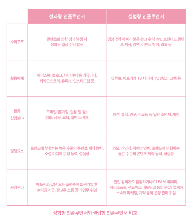 인플루언서의 플레이그라운드 \애드픽\