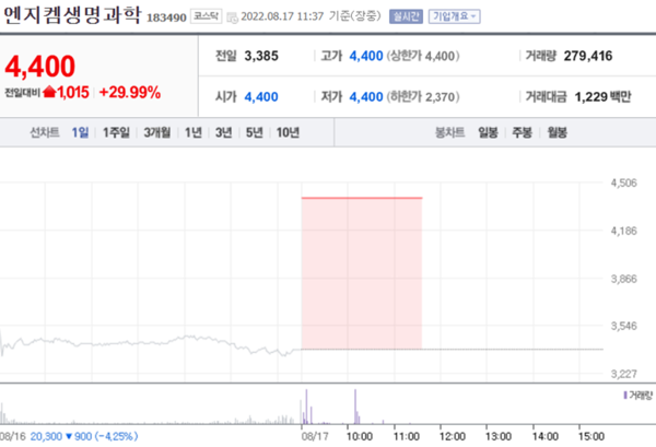 [특징주] 엔지켐생명과학, 무상증자 권리락 효과에 상한가
