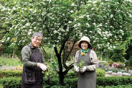 평창 허브나라농원 1일 재개방 열린 자연의 향기 나누고 싶어