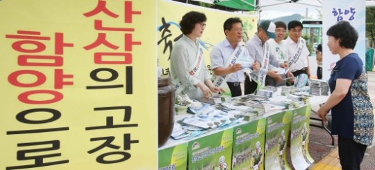 “이게 바로 함양 산양삼입니다”