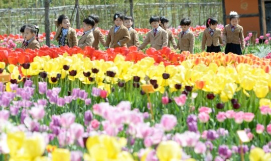 진주 봄꽃축제 꽃대궐