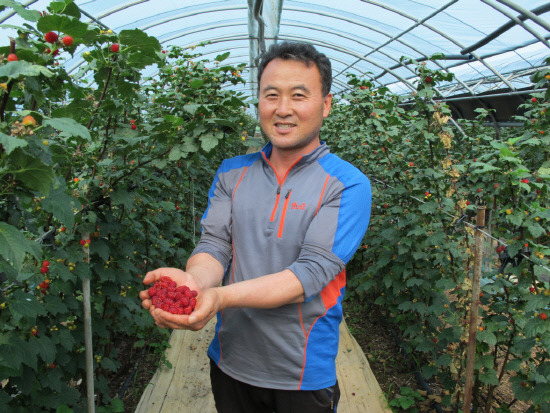 [개방파고 맞서는 지역특화 농업] 김해 산딸기