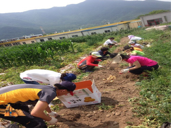 양산시 양주동 농촌일손돕기 자원봉사