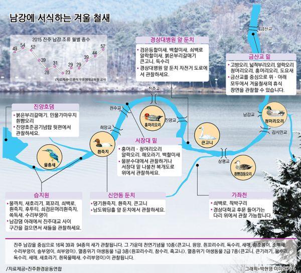 진주 도심 남강엔 어떤 새들이 살까?